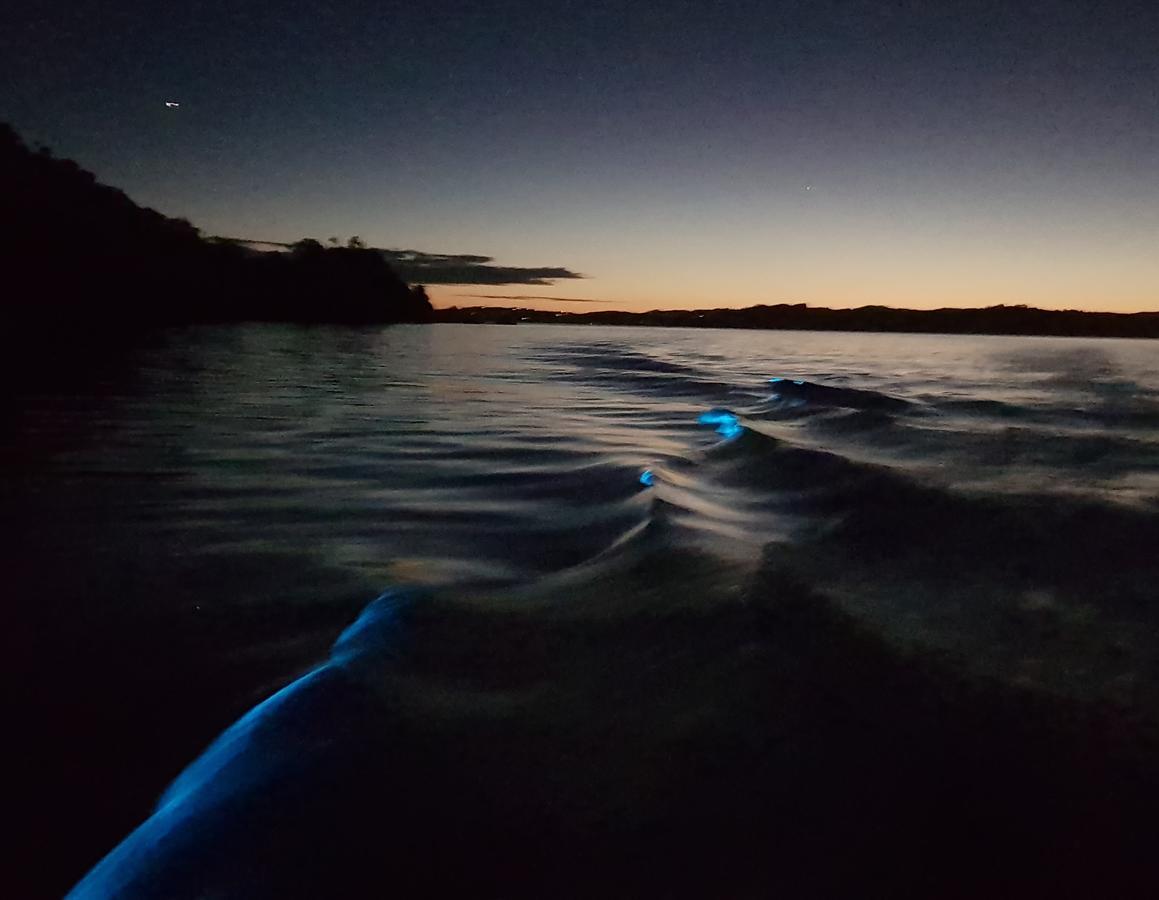 The Beach House Kawau Island Esterno foto